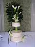 cake10.jpg